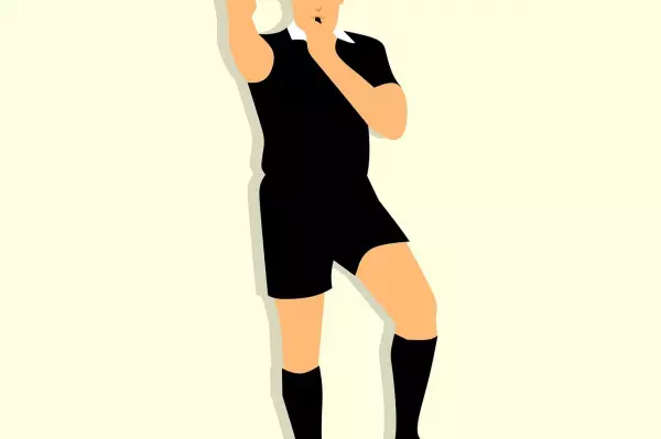 Neue Schiedsrichterspesen ab 1. Januar 2025: 1764363729-1733494425=30869304